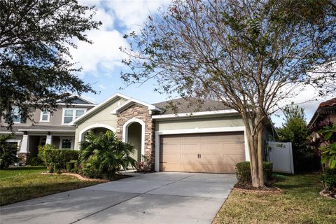 A home in RIVERVIEW