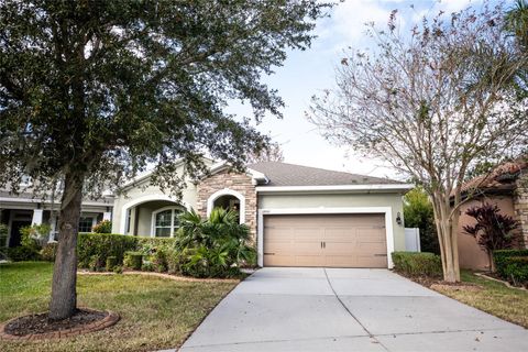 A home in RIVERVIEW