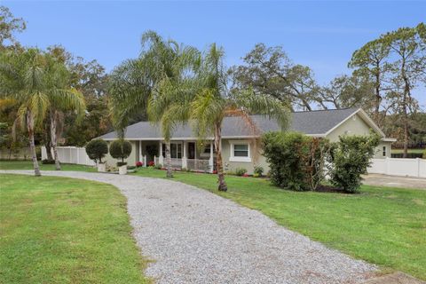Photo of 530 Lake Bingham Road, Lake Mary, FL 32746 (MLS # O6366477)