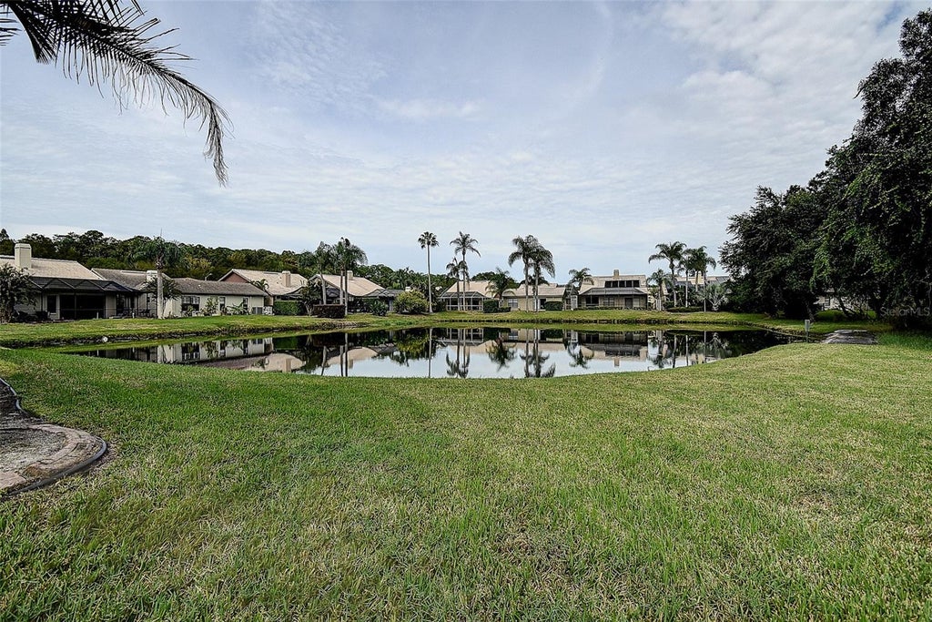 Photo of 3609 Darston Street, Palm Harbor, FL 34685 (MLS # TB8555744)