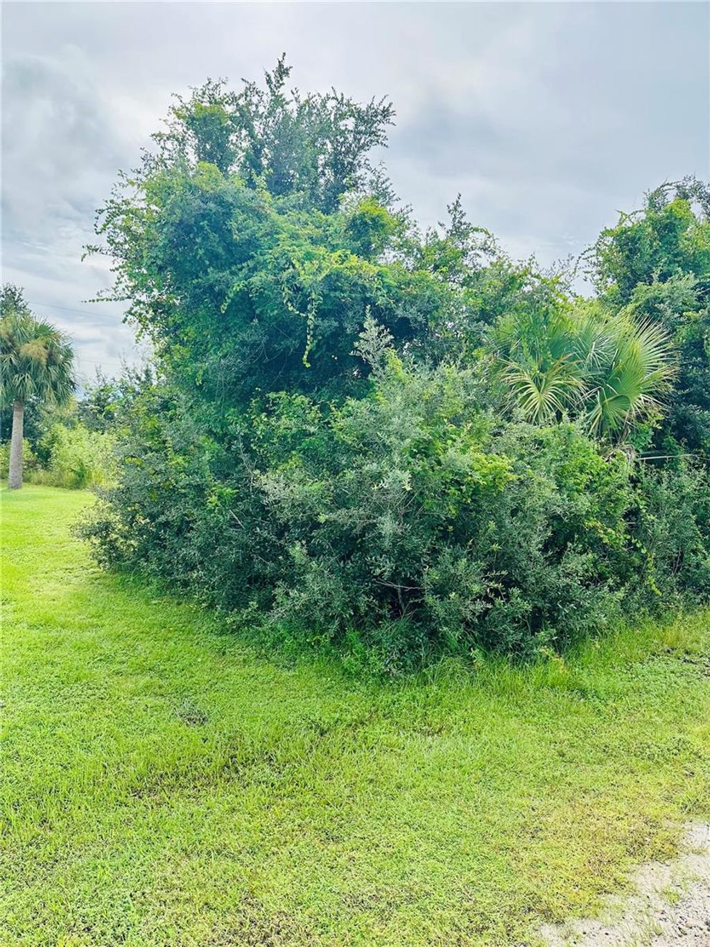 Photo of 6360 Brookridge Street, Englewood, FL 34224 (MLS # A4665822)