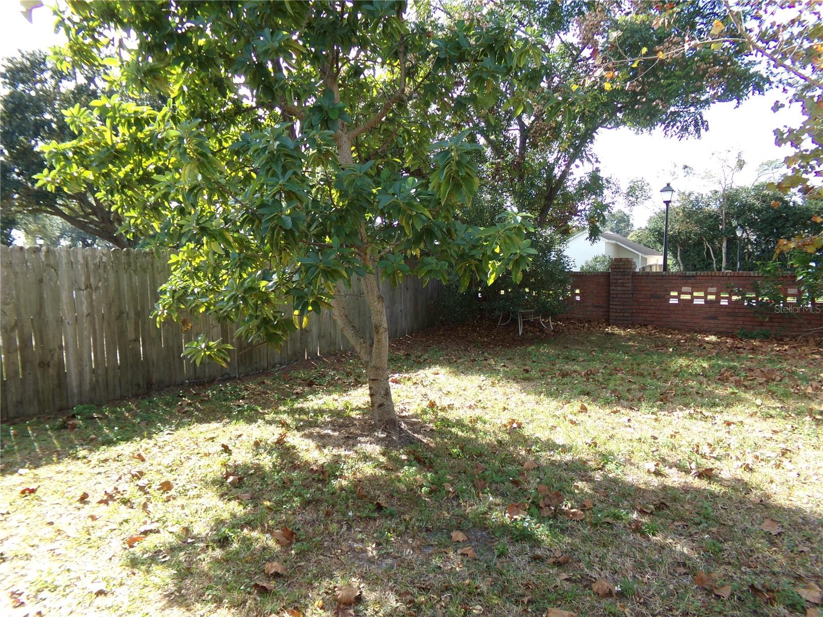 ALAFAYA WOODS PH 12B - Residential Lease