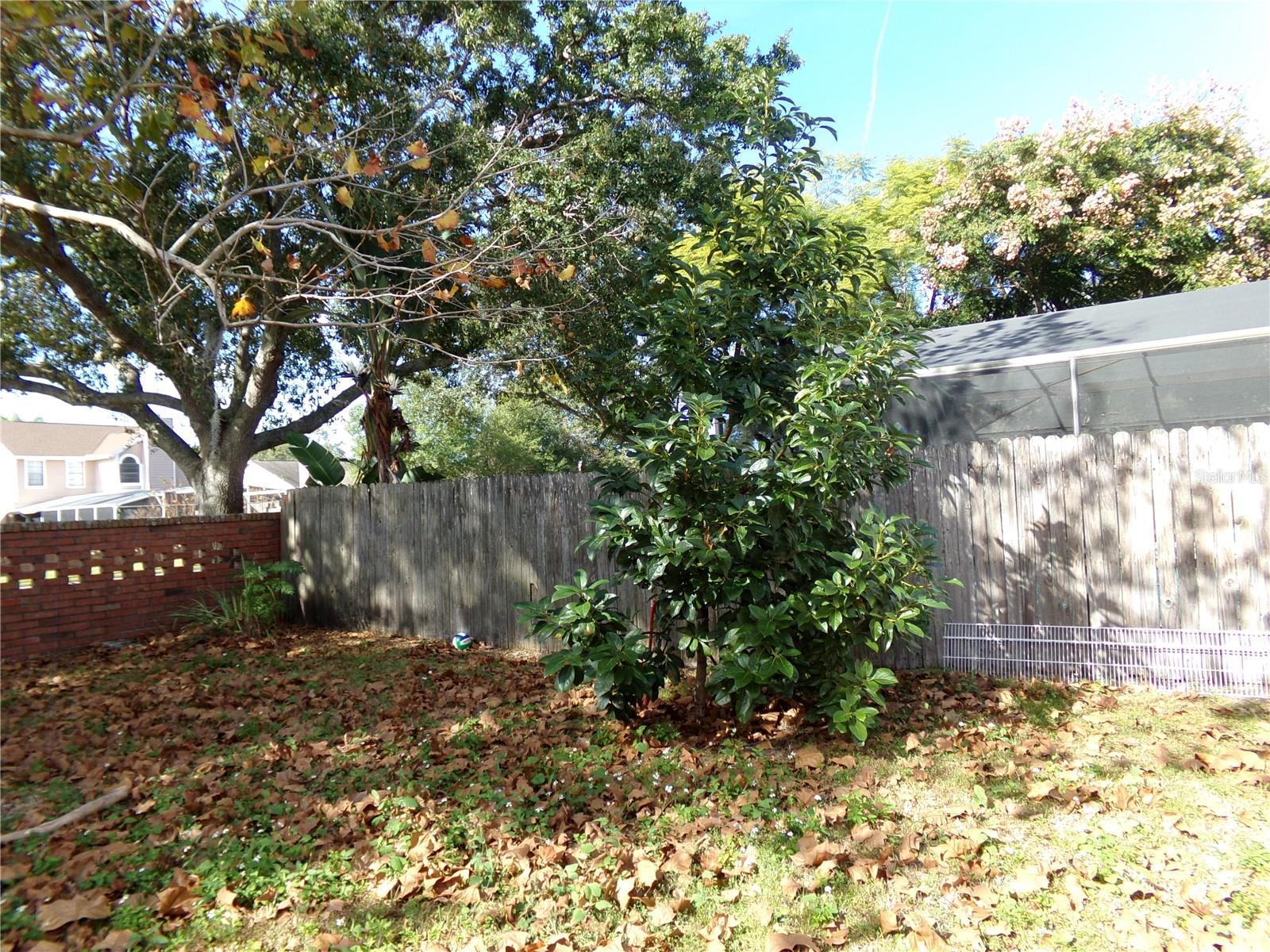 ALAFAYA WOODS PH 12B - Residential Lease