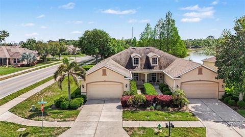 Photo of 2134 Barracuda Court, Holiday, FL 34691 (MLS # TB8496760)