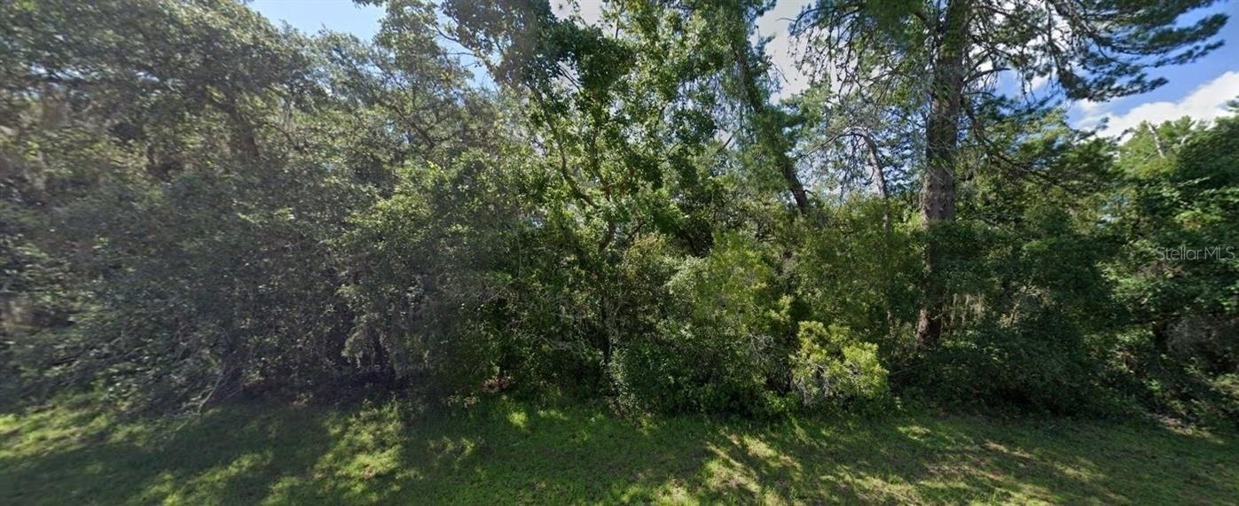 MARION OAKS 03 - Land