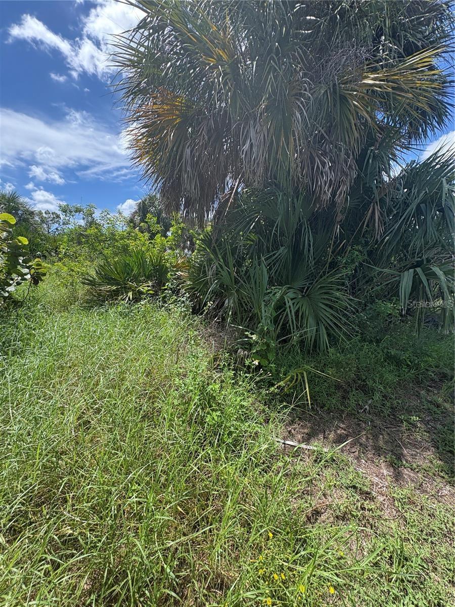 PORT CHARLOTTE SEC 044 - Land