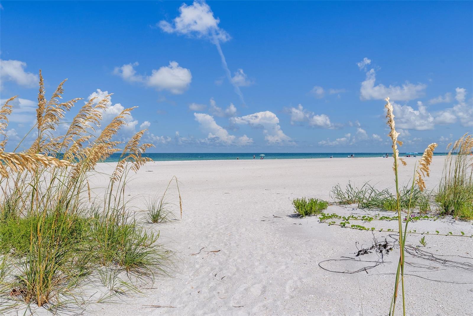 1390 GULF BOULEVARD 302