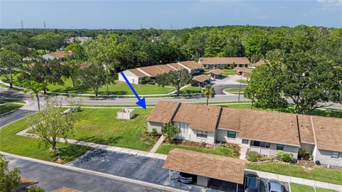 75 Poole Place, Oldsmar, FL 34677