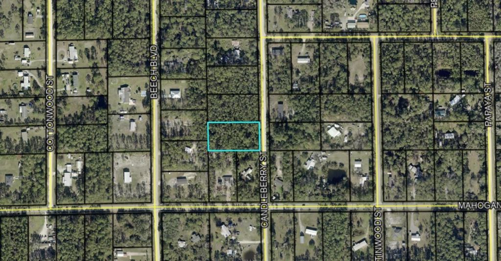 Photo of 1402 Candleberry Street, Bunnell, FL 32110 (MLS # FC317910)