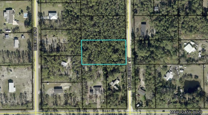 1.14-acre oversized vacant lot in the Daytona North Subdivision of Flagler County, zoned MH-1. Ideally situated with convenient access to nearby Bunnell and Palm Coast, this property offers both privacy and accessibility. Located in Flood Zone X (low risk), providing added peace of mind.

This undeveloped parcel gives you a blank canvas—bring your vision and build exactly what you want. No build time restrictions mean you can build now, hold for future plans, land bank, or enjoy for recreational use. Buyer responsible for all improvements and development.

Endless possibilities await—secure your piece of Florida land today. Call now for more details!