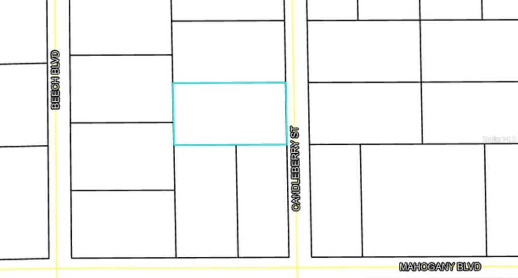 Photo of 1402 Candleberry Street, Bunnell, FL 32110 (MLS # FC317910)