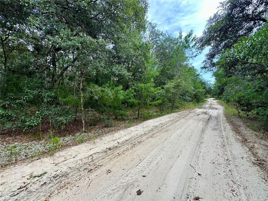 Start your next chapter here...  Bring or build your new home to this near one-acre lot in Interlachen, FL.  Nestled 30 min East bof Gainesvilee and 30 min West of Palatka, this quiet, wooded lot is zoned for residential use with no HOA restrictions and offers the perfect blend of privacy and convenience. One hour to the Atlantic coast!
Enjoy access to nearby lakes, parks, shopping, and dining, with close access to schools and other municipal services. 
As a homesite or a portfolio builder, this lot is full of potential!