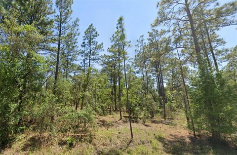 00 NW SHAMROCK AVENUE DUNNELLON FL 34431