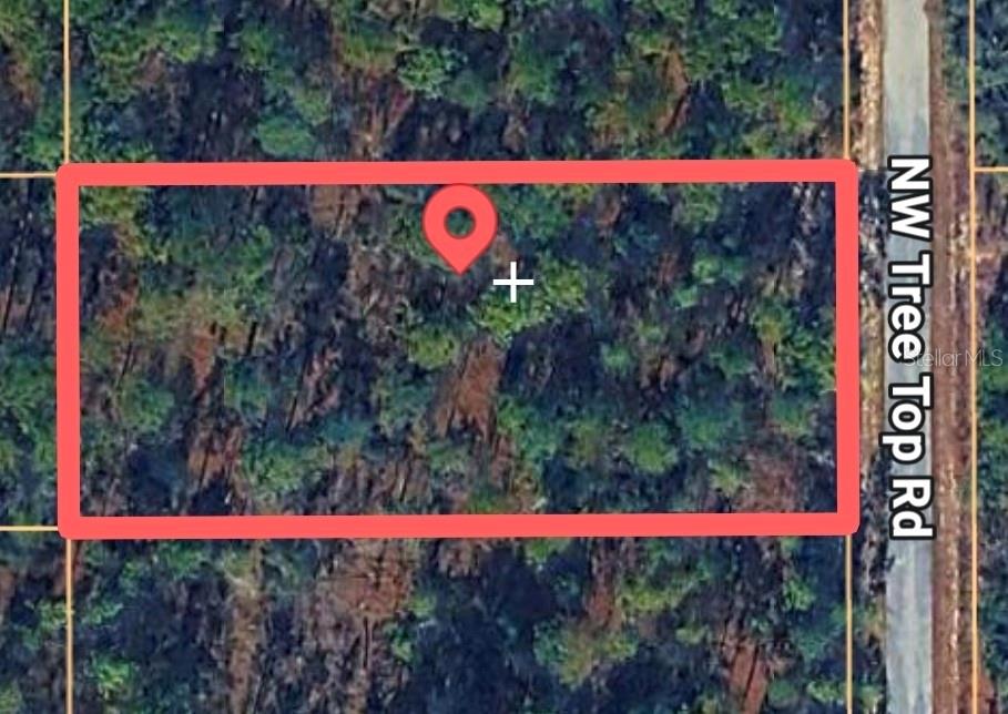 TREE TOP ROAD