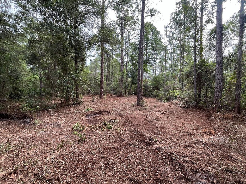 Photo of 124 Glenside Street, Georgetown, FL 32139 (MLS # K4903415)