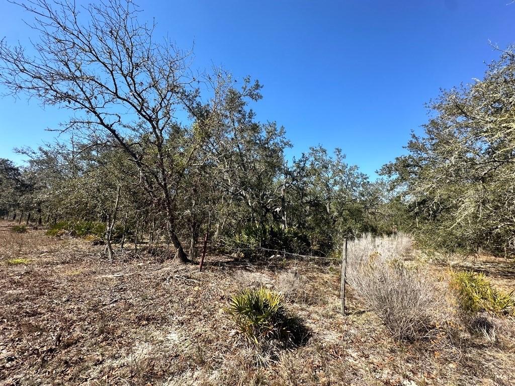 OAK RIDGE ESTATES - Land