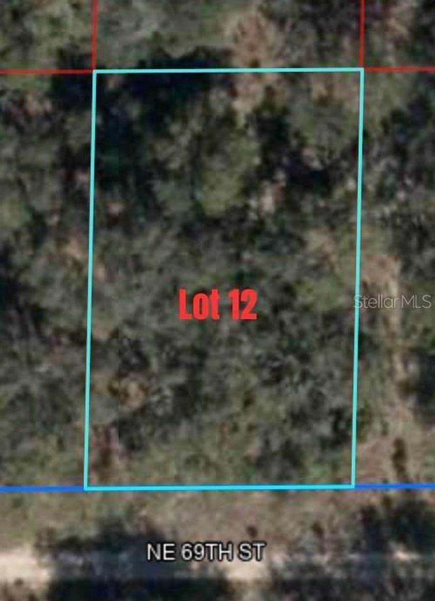 .23 acre lot located in Williston, FL. Perfect location for your new home and at an affordable price! Call today or take a stroll to check this one out!