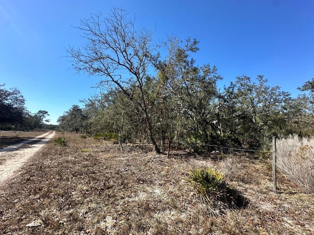 .23 acre lot located in Williston, FL. Perfect location for your new home and at an affordable price! Call today or take a stroll to check this one out!