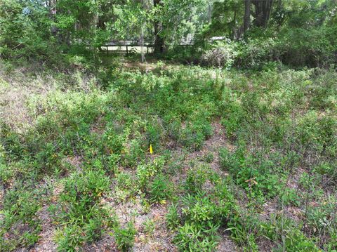 Tiny photo for 0 NW 38th Street, Reddick, FL 32686 (MLS # A4688206)