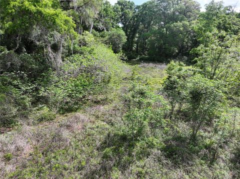 Tiny photo for 0 NW 38th Street, Reddick, FL 32686 (MLS # A4688206)