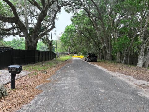 Tiny photo for 0 NW 38th Street, Reddick, FL 32686 (MLS # A4688206)