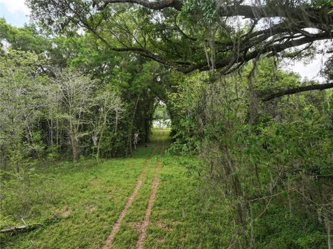 Tiny photo for 0 NW 38th Street, Reddick, FL 32686 (MLS # A4688206)