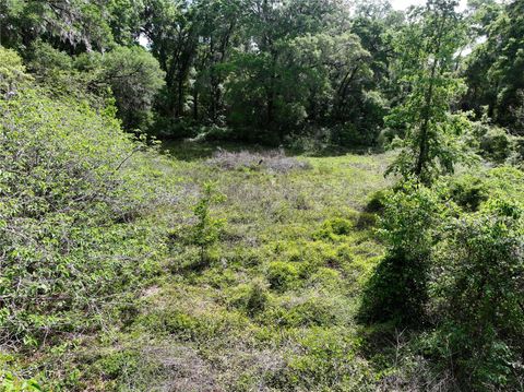 Tiny photo for 0 NW 38th Street, Reddick, FL 32686 (MLS # A4688206)