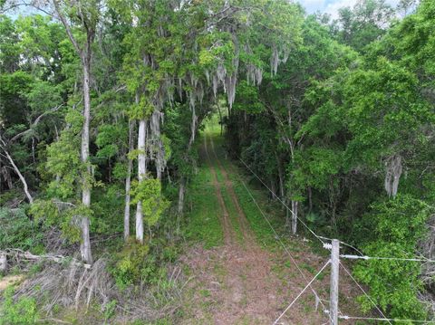 Tiny photo for 0 NW 38th Street, Reddick, FL 32686 (MLS # A4688206)