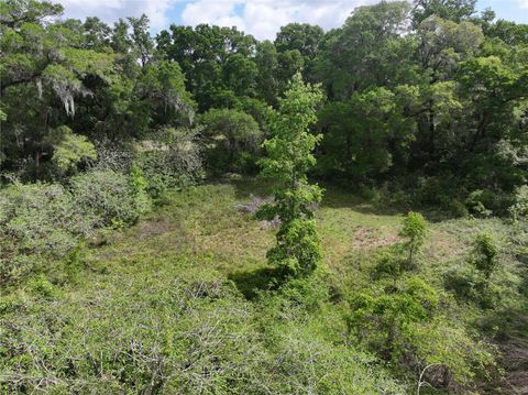 Tiny photo for 0 NW 38th Street, Reddick, FL 32686 (MLS # A4688206)