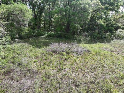 Tiny photo for 0 NW 38th Street, Reddick, FL 32686 (MLS # A4688206)