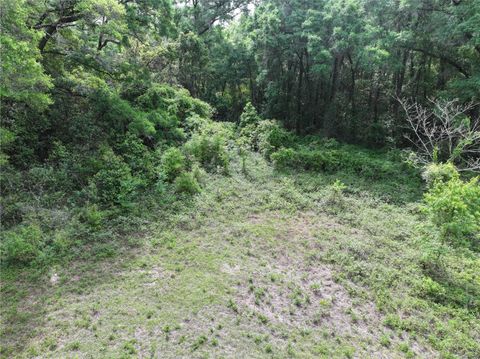 Tiny photo for 0 NW 38th Street, Reddick, FL 32686 (MLS # A4688206)