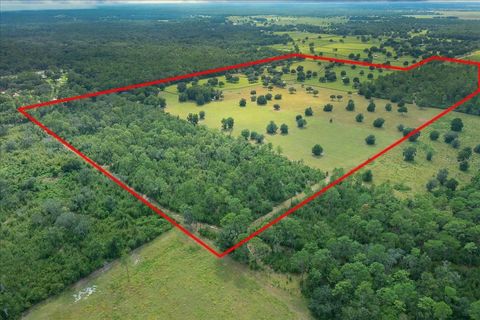 Tiny photo for 0 NW 150th Avenue, Ocala, FL 34482 (MLS # OM711090)