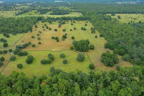 Tiny photo for 0 NW 150th Avenue, Ocala, FL 34482 (MLS # OM711090)