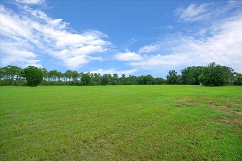 Tiny photo for 0 NW 150th Avenue, Ocala, FL 34482 (MLS # OM711090)
