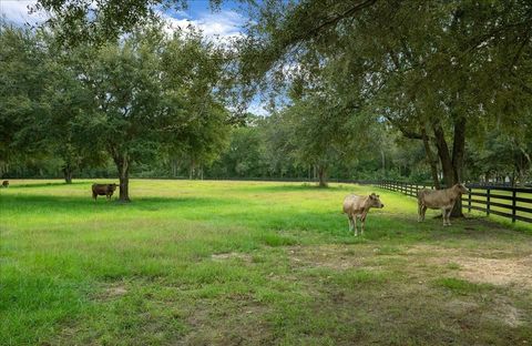 Tiny photo for 0 NW 150th Avenue, Ocala, FL 34482 (MLS # OM711090)