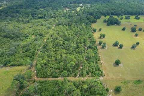 Tiny photo for 0 NW 150th Avenue, Ocala, FL 34482 (MLS # OM711090)