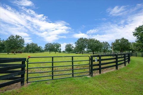 Tiny photo for 0 NW 150th Avenue, Ocala, FL 34482 (MLS # OM711090)