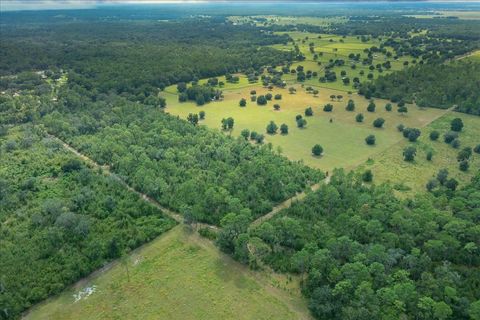 Tiny photo for 0 NW 150th Avenue, Ocala, FL 34482 (MLS # OM711090)