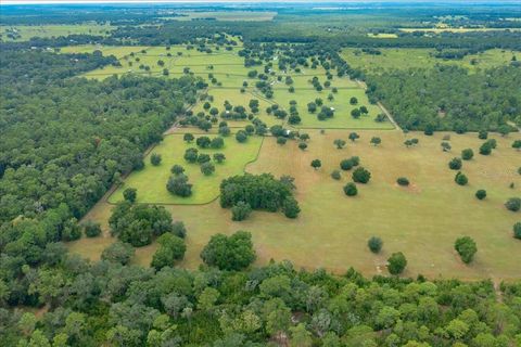 Tiny photo for 0 NW 150th Avenue, Ocala, FL 34482 (MLS # OM711090)