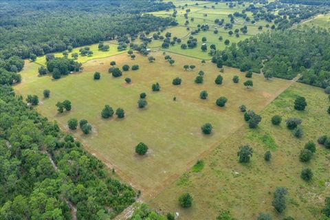 Tiny photo for 0 NW 150th Avenue, Ocala, FL 34482 (MLS # OM711090)