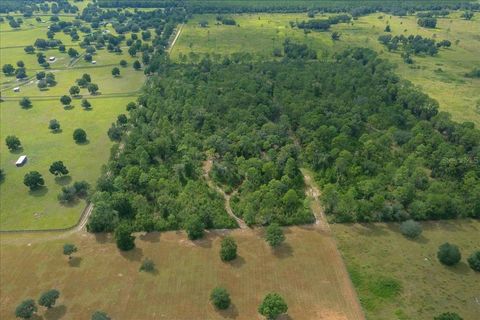 Tiny photo for 0 NW 150th Avenue, Ocala, FL 34482 (MLS # OM711090)