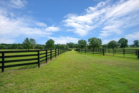 Tiny photo for 0 NW 150th Avenue, Ocala, FL 34482 (MLS # OM711090)
