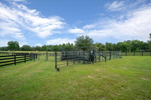 Tiny photo for 0 NW 150th Avenue, Ocala, FL 34482 (MLS # OM711090)