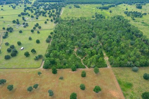 Tiny photo for 0 NW 150th Avenue, Ocala, FL 34482 (MLS # OM711090)