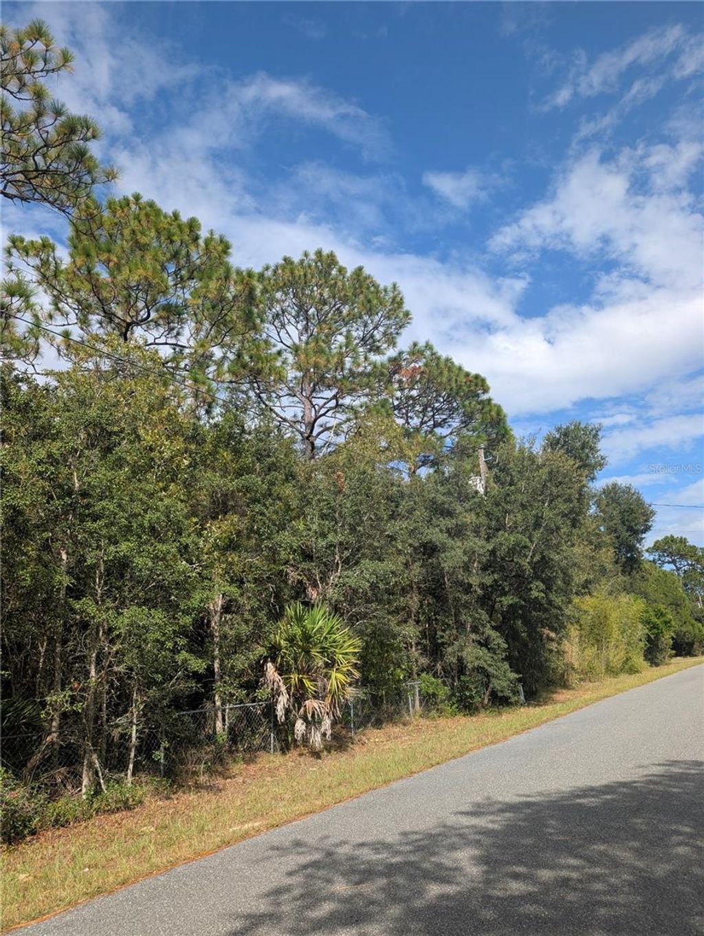 Photo of 6499 W Heritage Drive, Homosassa, FL 34448 (MLS # W7879578)