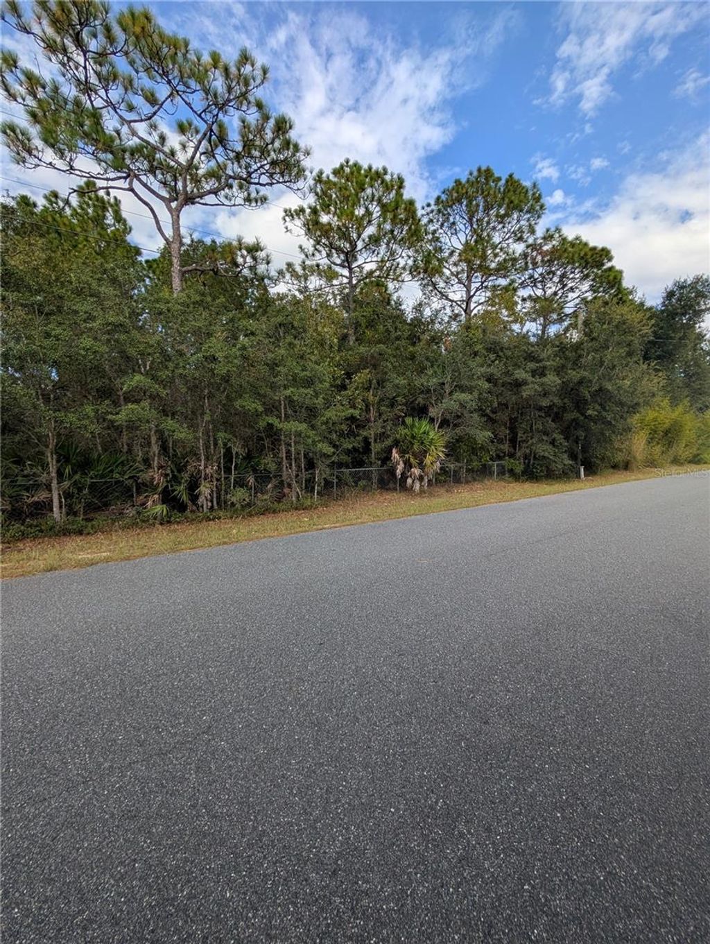 Photo of 6499 W Heritage Drive, Homosassa, FL 34448 (MLS # W7879578)