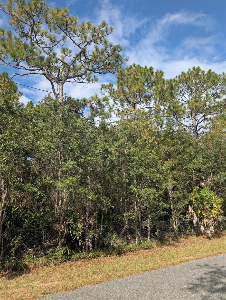 Welcome to 6499 W Heritage Dr, a rare 1.02-acre homesite offering 150 feet of paved road frontage and nearly 300 feet of depth in the established Heritage Acres community. This oversized lot provides room for your dream home, pool, or private retreat—while keeping you close to everything that makes Homosassa living so enjoyable.

From this central location, you’ll have quick access to U.S. 19, connecting you to Crystal River, Tampa, and the rest of Florida’s Nature Coast. You’re just minutes from local schools including Homosassa Elementary and Crystal River High, multiple churches, and a variety of small businesses that give the area its hometown charm.

For lifestyle and leisure, you’ll enjoy proximity to the Homosassa River and Gulf of Mexico for boating and fishing, as well as golf courses, parks, and nature preserves. Everyday conveniences are right around the corner...grocery stores, hospitals, shopping, and medical offices along with popular restaurants, waterfront dining, and local entertainment.

Flood Zone X offers peace of mind, and the lot’s size and location make it a perfect canvas for your vision. Opportunities like this are rare...spacious land in a neighborhood setting, with so much nearby to enrich daily life.