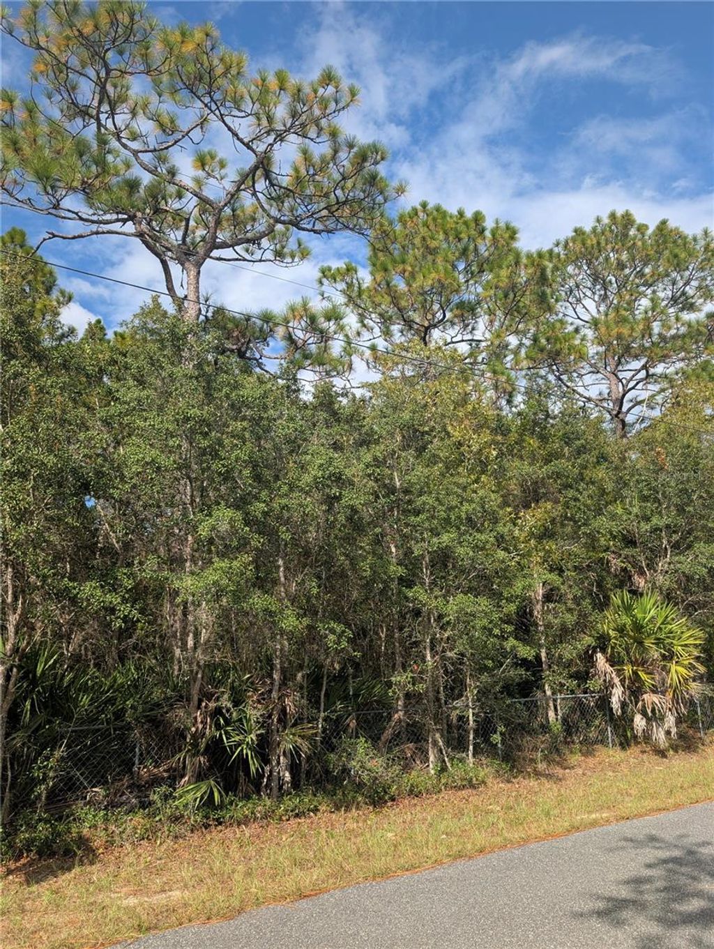Photo of 6499 W Heritage Drive, Homosassa, FL 34448 (MLS # W7879578)