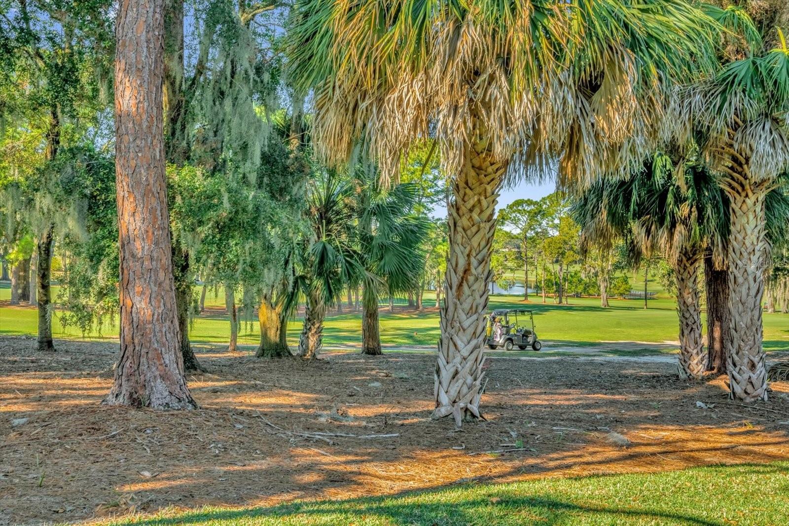 HOWEY MISSION SONOMA CONDO - Residential