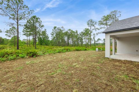 Tiny photo for 42875 Honeysuckle Street, Eustis, FL 32736 (MLS # O6397684)